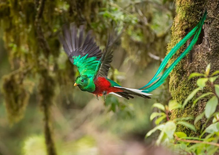 html5 bootstrap template